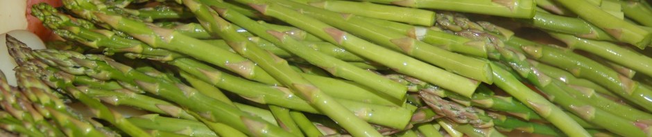 Dilled Chicken Fricassée