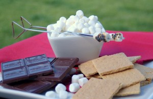 s'mores 2